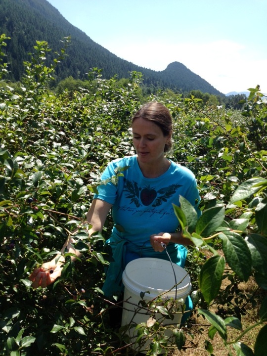 Shana Picking Organic Blueberries